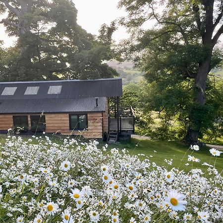 Вілла Faraway Follies Llandegla Екстер'єр фото